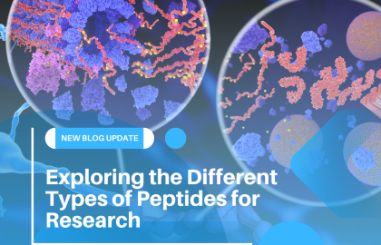 Exploring the Different Types of Peptides for Research